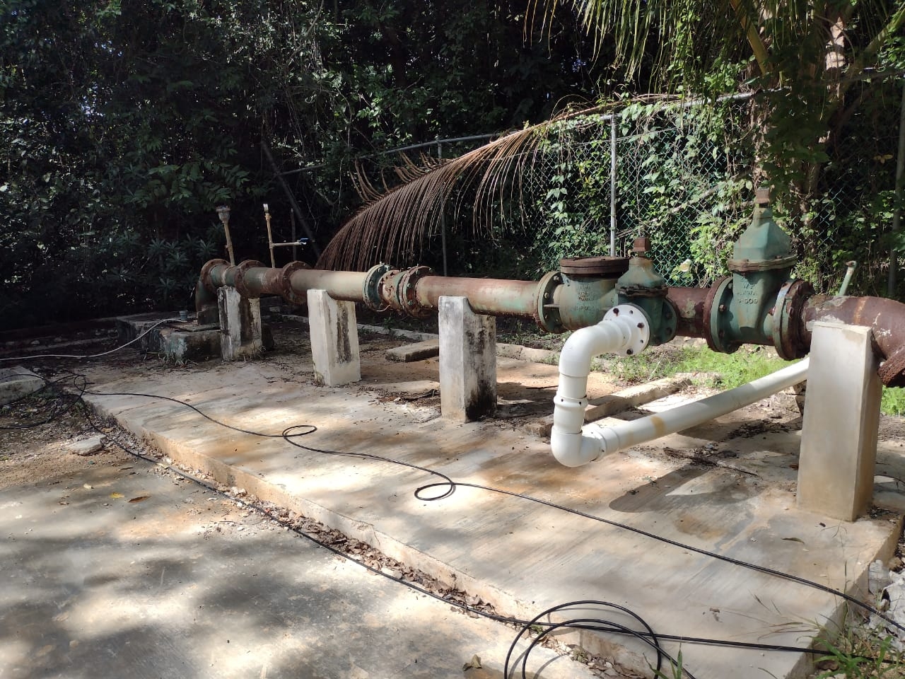 Se desconoce cuándo la CAPA realizará la reparación para el restablecimiento del servicio de agua potable en Carrillo Puerto