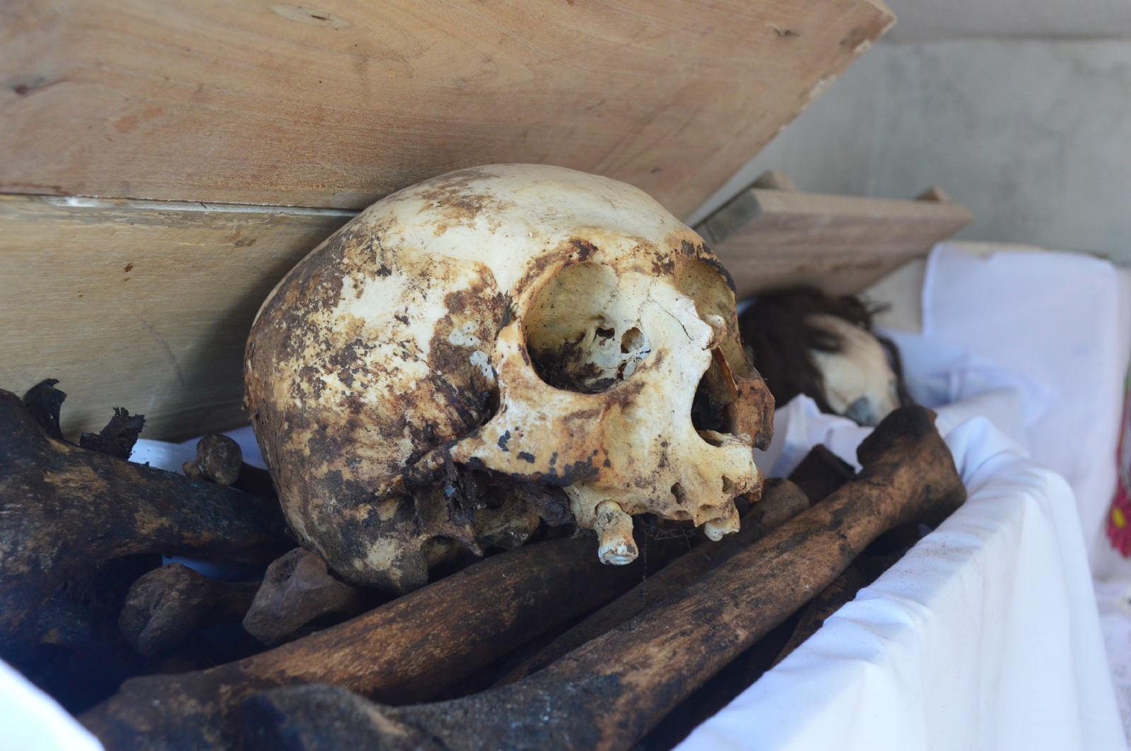 En Día de Muertos se roban huesos de cementerio en Pomuch
