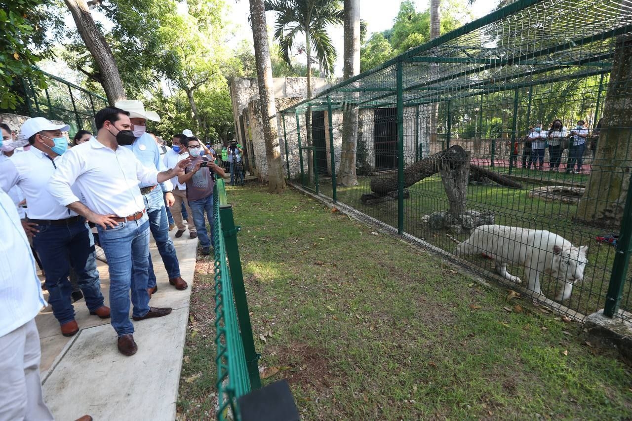 EL gobernador Mauricio Vila viajará con la secretaria de Desarrollo Sustentable Sayda Rodríguez EL gobernador Mauricio Vila viajará con la secretaria de Desarrollo Sustentable Sayda Rodríguez