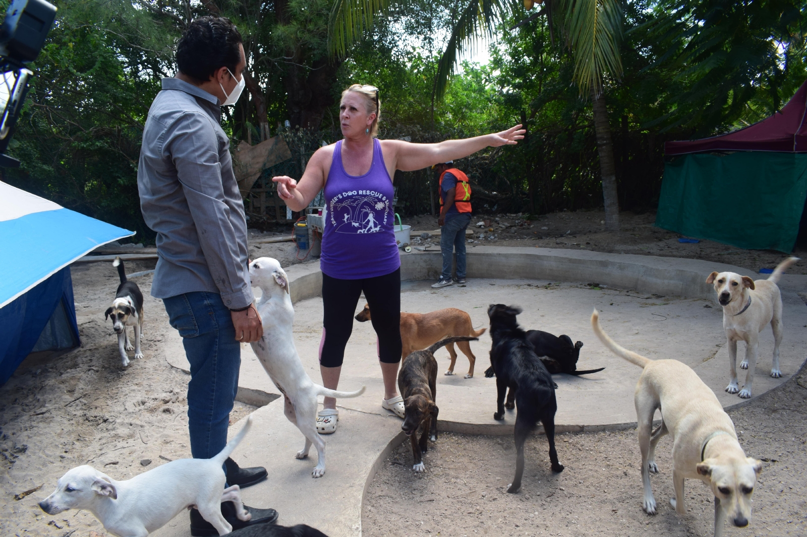 El espacio abrirá al público durante los primeros días de enero de 2022. Veterinarios brindarán atención 24 horas al día