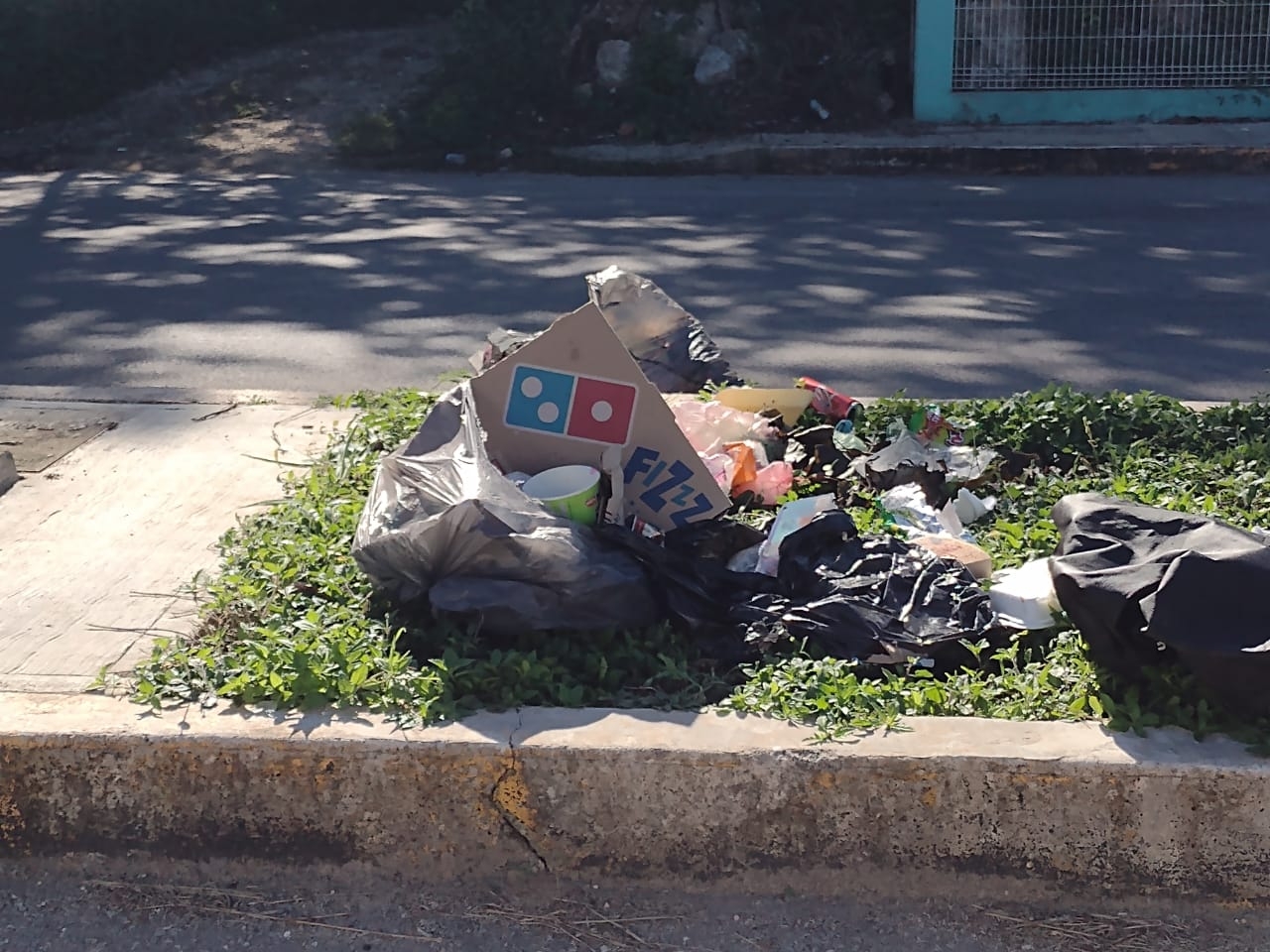 Al día se genera un promedio de 70 a 90 toneladas de basura, en por lo menos 15 colonias de la ciudad