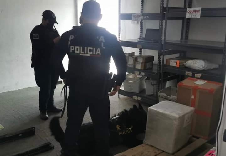 El elemento de cuatro patas, “Kano” detectó la caja con siete paquetes de droga El elemento de cuatro patas, “Kano” detectó la caja con siete paquetes de droga