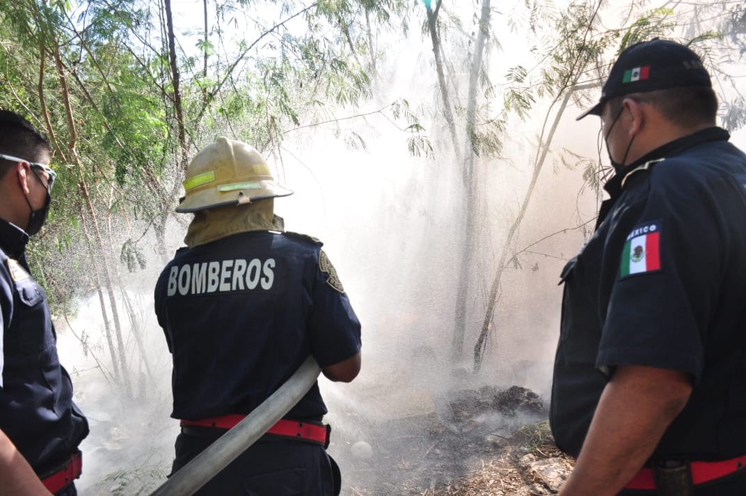 El cuerpo de bomberos logró apagar el incendio antes de que creciera El cuerpo de bomberos logró apagar el incendio antes de que creciera