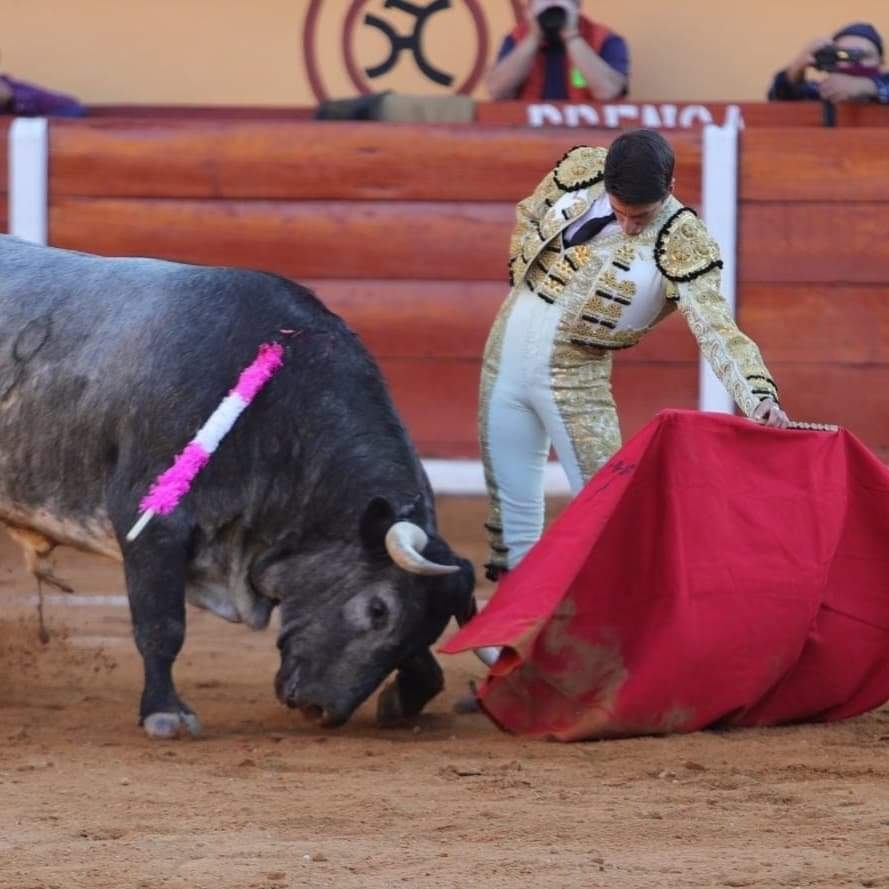 Diputado del Verde Ecologista 've difícil' la prohibición de corridas de toros en Yucatán