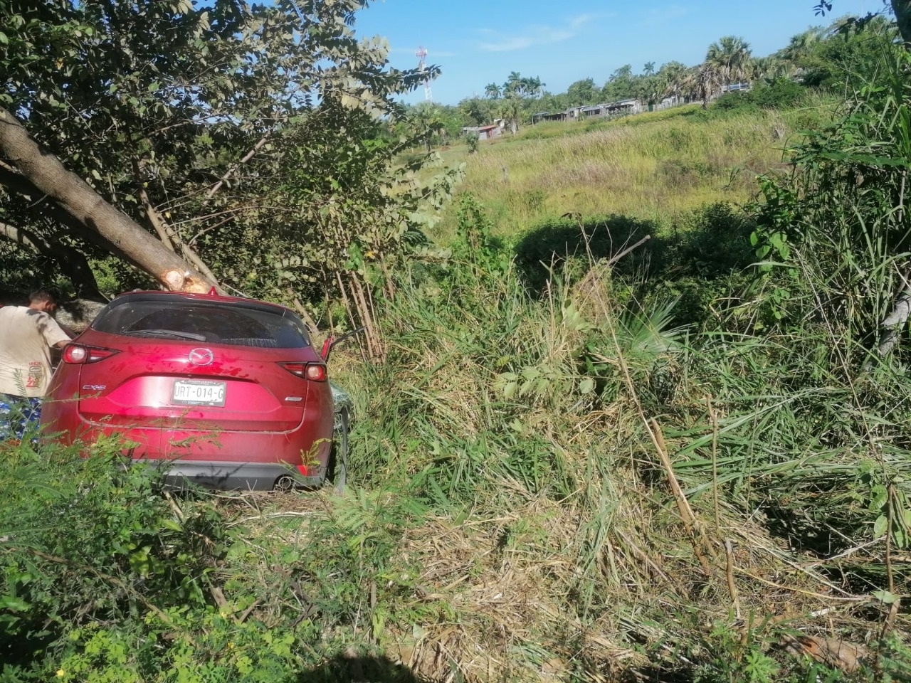 El conductor de la unidad tipo hatchback se salió de la ruta y se estrelló contra un árbol El conductor de la unidad tipo hatchback se salió de la ruta y se estrelló contra un árbol