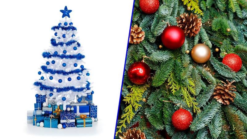 Los árboles de navidad son una parte muy importante de estas fechas Los árboles de navidad son una parte muy importante de estas fechas