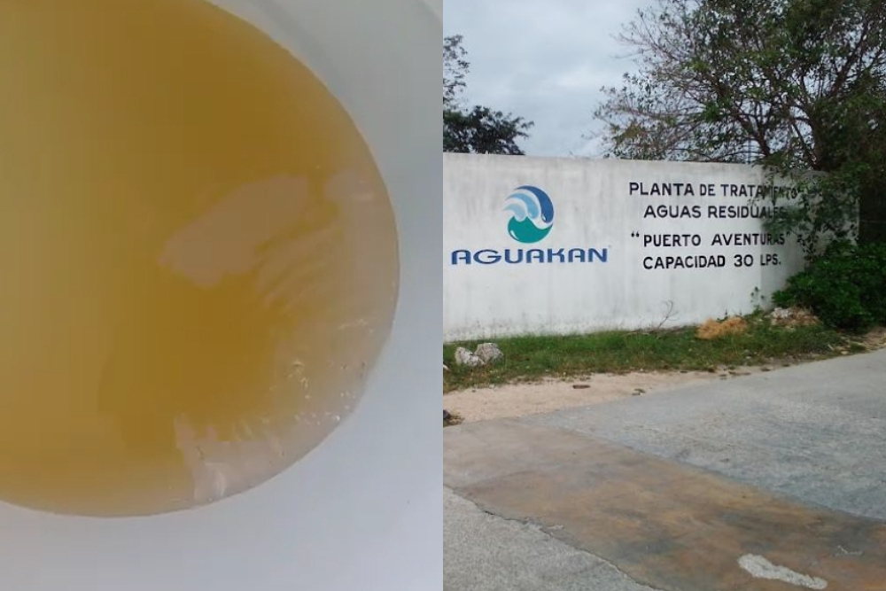 El agua que llegó a las casas en Puerto Aventuras era de color amarillento, denunciaron pobladores El agua que llegó a las casas en Puerto Aventuras era de color amarillento, denunciaron pobladores