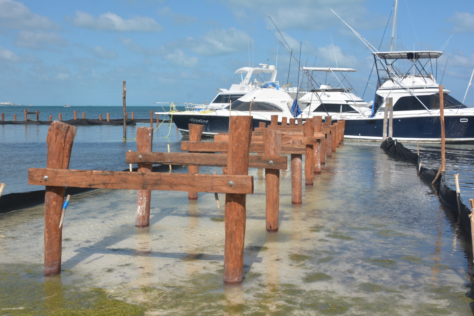 Los pilotes de madera del muelle se colocaron en un área de la Zona Hotelera de Cancún sin tener permisos correspondientes