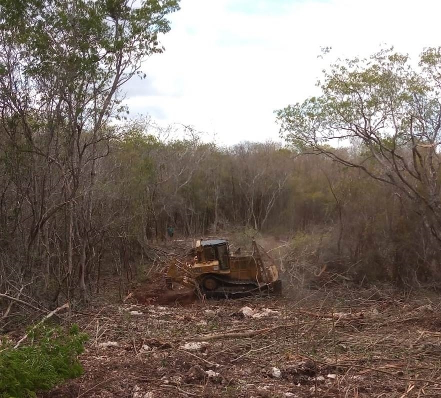 Funcionarios ambientalistas advierten que es urgente el detener las actividades destructivas que afectan al medio ambiente, y dejar de usar pesticidas