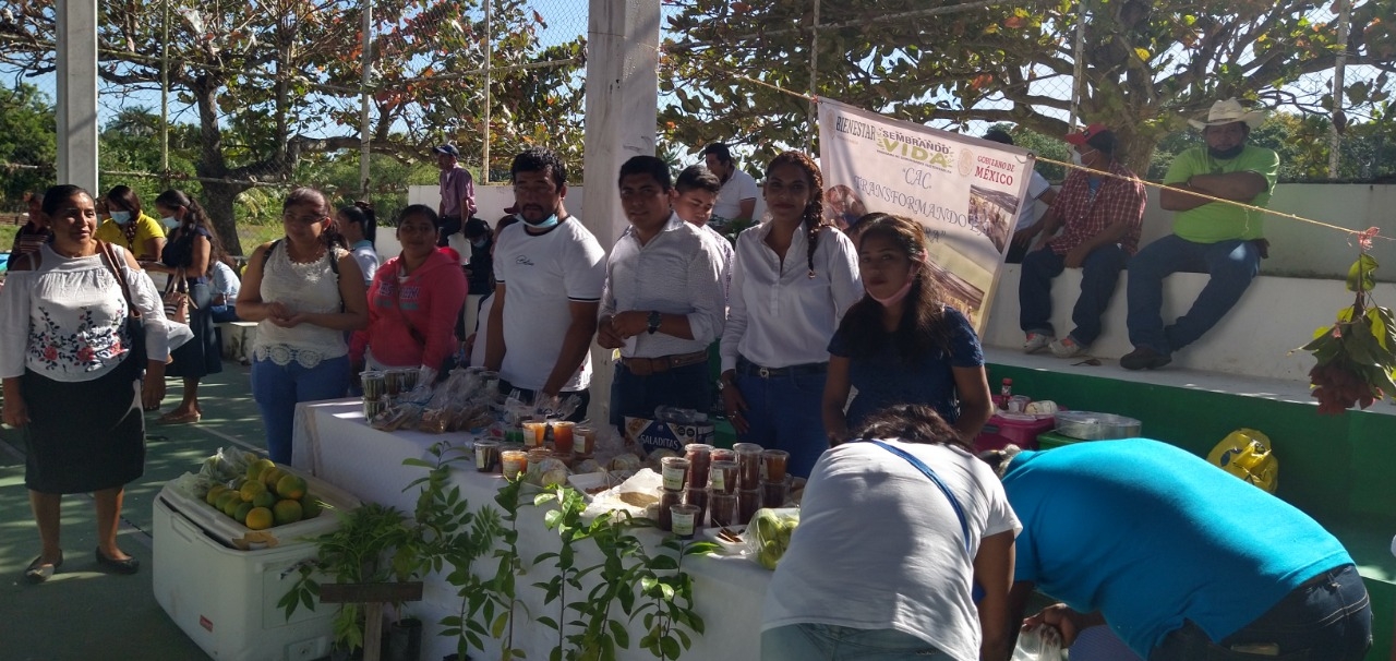 En el tianguis exhibieron y pusieron a la venta diversidad de frutas y verduras En el tianguis exhibieron y pusieron a la venta diversidad de frutas y verduras