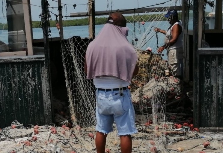 Pescadores atraviesan por una mala racha y en las últimas semanas han tenido baja captura
Pescadores atraviesan por una mala racha y en las últimas semanas han tenido baja captura