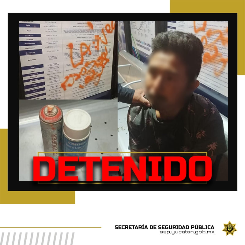 El joven fue detenido infraganti cuando causaba daño a la propiedad