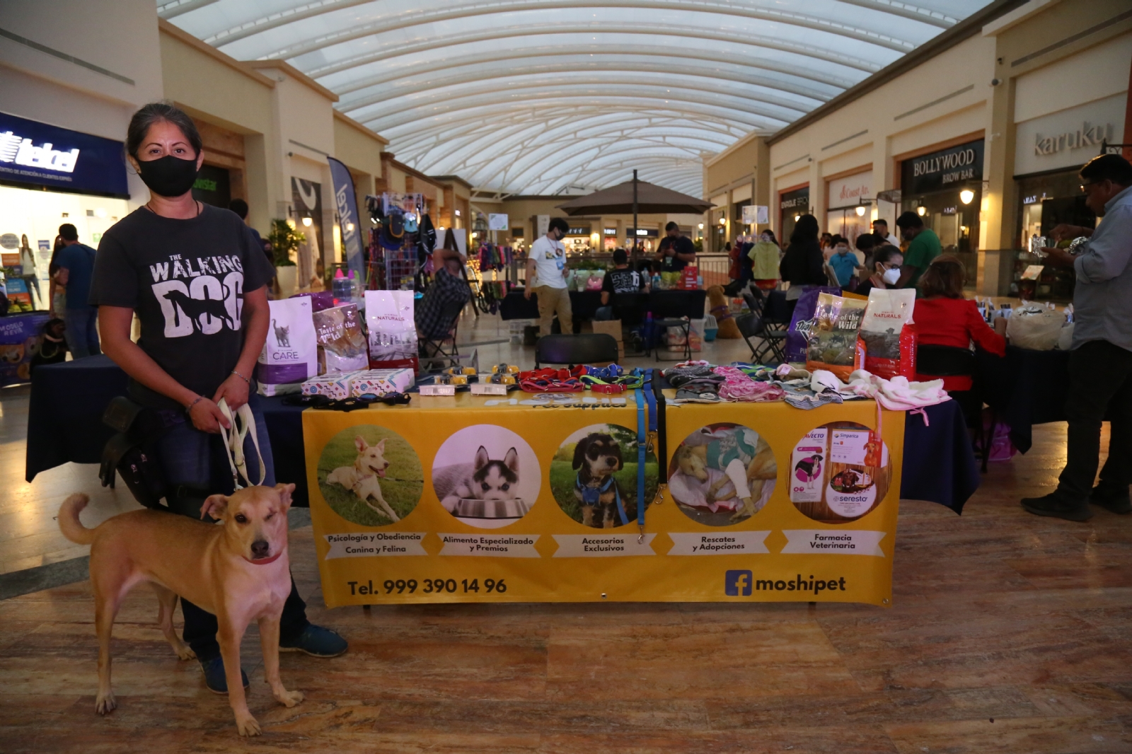 En la Feria Pet-Friendly Pet-Ludi tops, se llevaron a cabo todas las actividades para el beneficio de los animales, con participación de asociaciones locales
