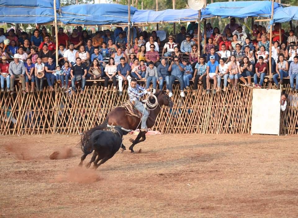 Palqueros y diputados de feria aseguran que esta rotundamente prohibido realizar ese tipo de eventos en el coso taurino, afirman no promover el maltrato animal