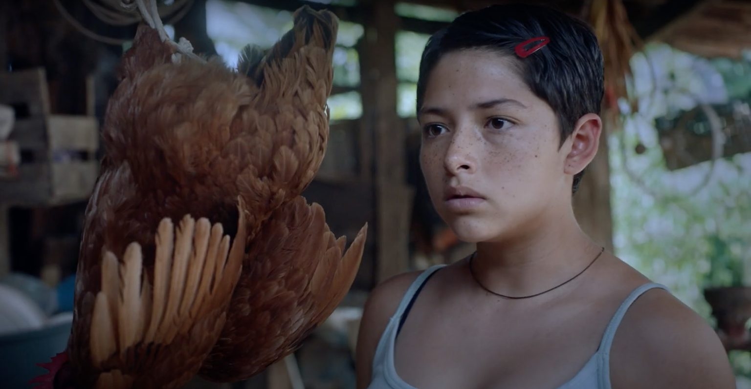 El filme de Tatiana Huezo va por la nominación definitiva en febrero El filme de Tatiana Huezo va por la nominación definitiva en febrero