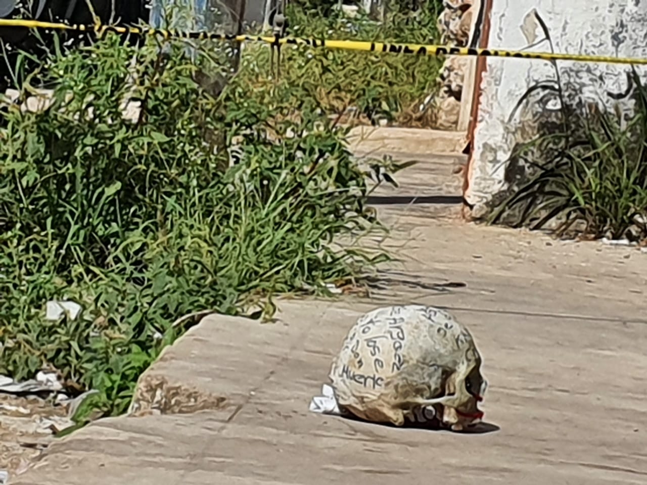 Según los vecinos el “cráneo” tenía varias horas asentado en ese lugar, pero no se habían fijado con atención Según los vecinos el “cráneo” tenía varias horas asentado en ese lugar, pero no se habían fijado con atención
