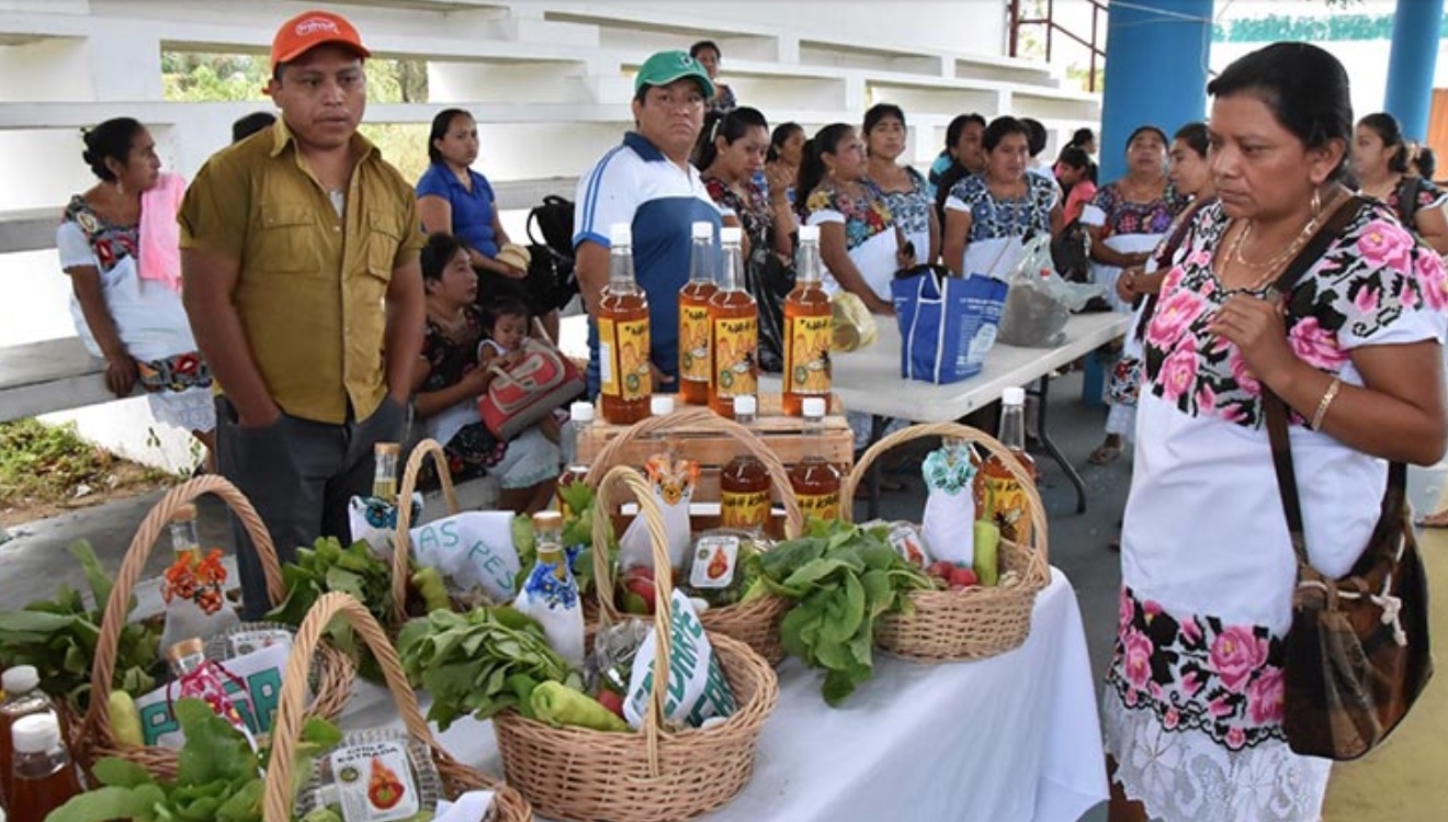 Un menor nivel de educación incide en el porcentaje de informalidad en Quintana Roo, según la Cepal