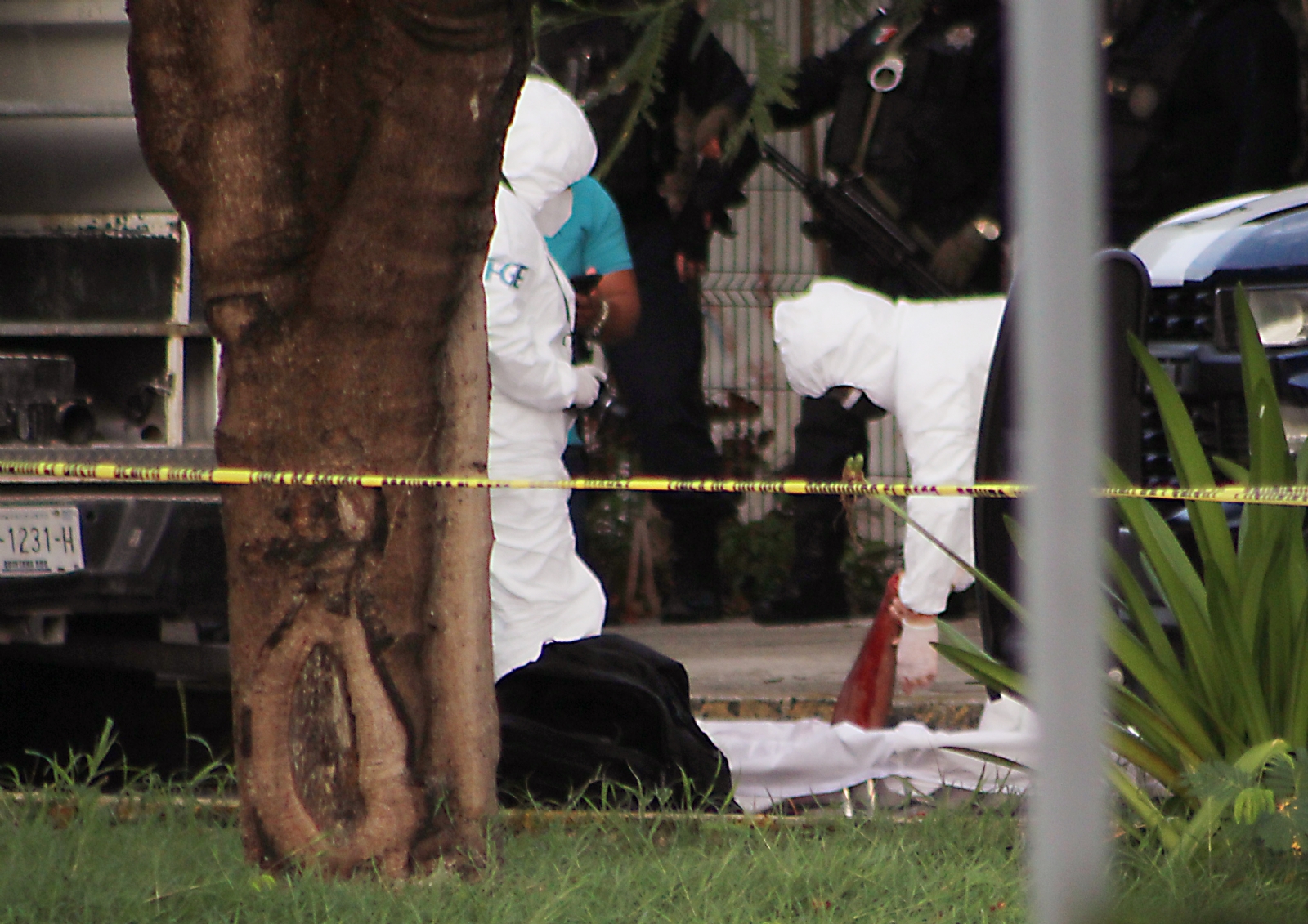 En lo que va del 2021, el SESNSP contabilizó 568 hechos delictivos en Quintana Roo, en su mayoría asesinatos y feminicidios