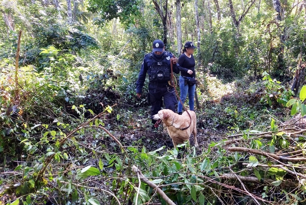 En el operativo participaron elementos de la Guardia Nacional, Policía Quintana Roo, Policía de Cancún, FGE y familiares de la víctima En el operativo participaron elementos de la Guardia Nacional, Policía Quintana Roo, Policía de Cancún, FGE y familiares de la víctima