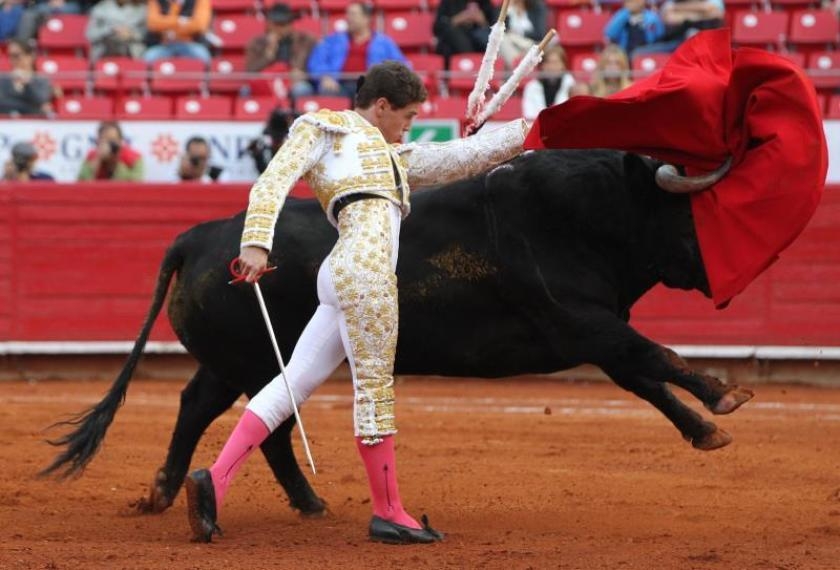Se espera que la ley se aprobada para castigar estos eventos