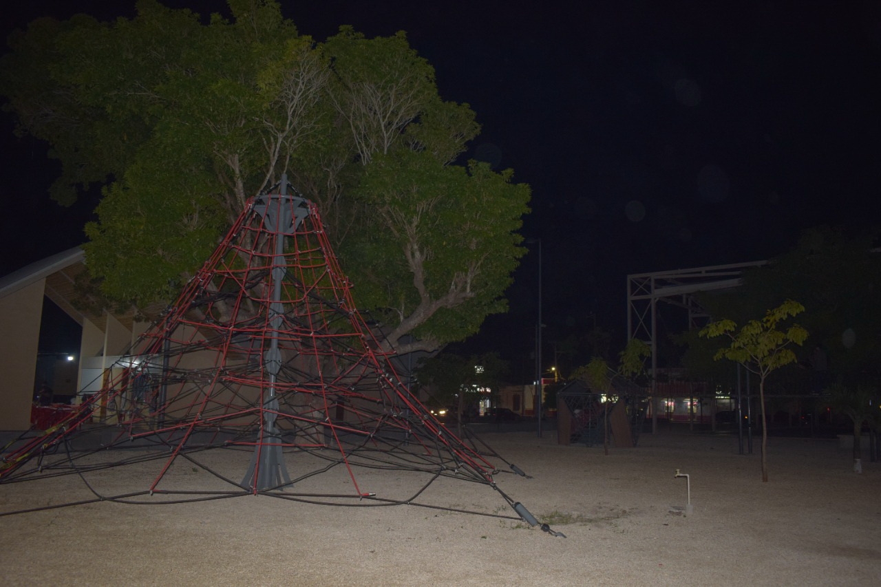 Un maltrecho arbolito de Navidad sin focos de colores no cumple la función de alegrar el ambiente en el Parque de la Playa