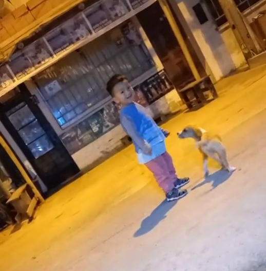 El niño conmovió a varios en TikTok