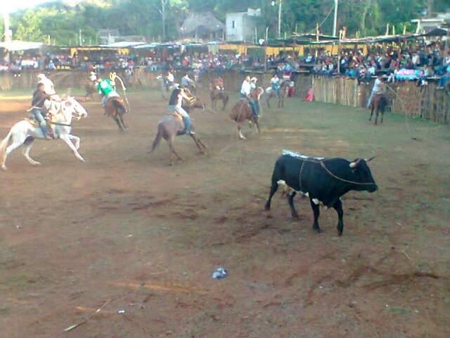Animalistas exigen a Carlos Joaquín sancionar a responsables de corrida de toros en Dziuché