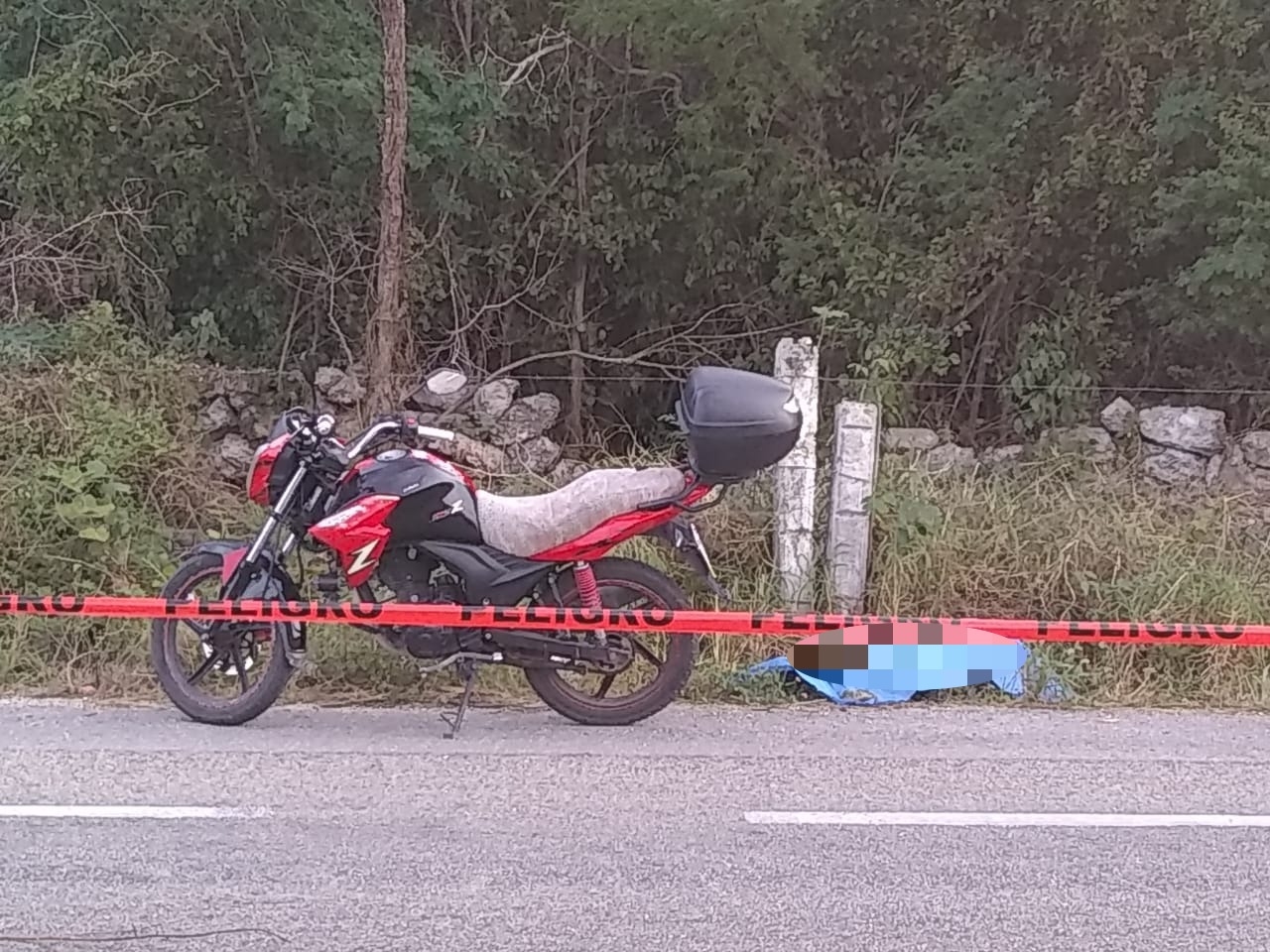 El conductor falleció en el lugar, por lo que acudieron elementos del Servicio Médico Forense (Semefo) El conductor falleció en el lugar, por lo que acudieron elementos del Servicio Médico Forense (Semefo)