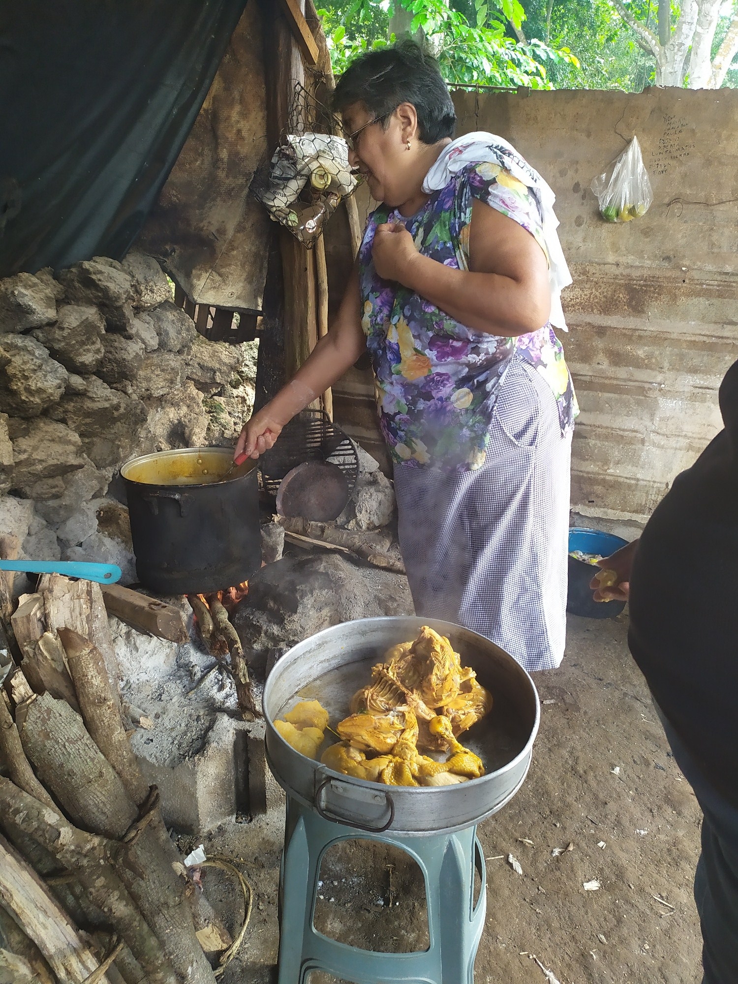 En la República Mexicana se elaboran diferentes tipos de tamales con ingredientes propios de cada región