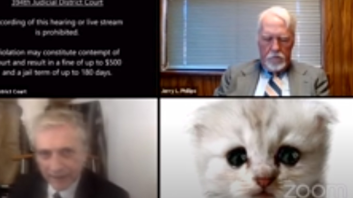 El abogado inició sesión con un filtro de gato activado El abogado inició sesión con un filtro de gato activado