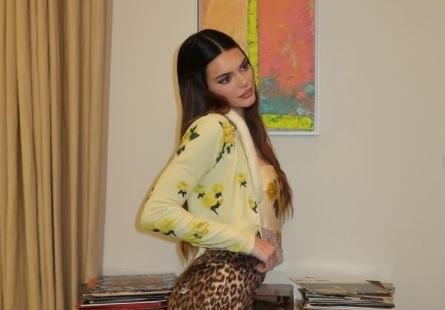 En 2017, Jenner se convirtió en la modelo mejor pagada del mundo
