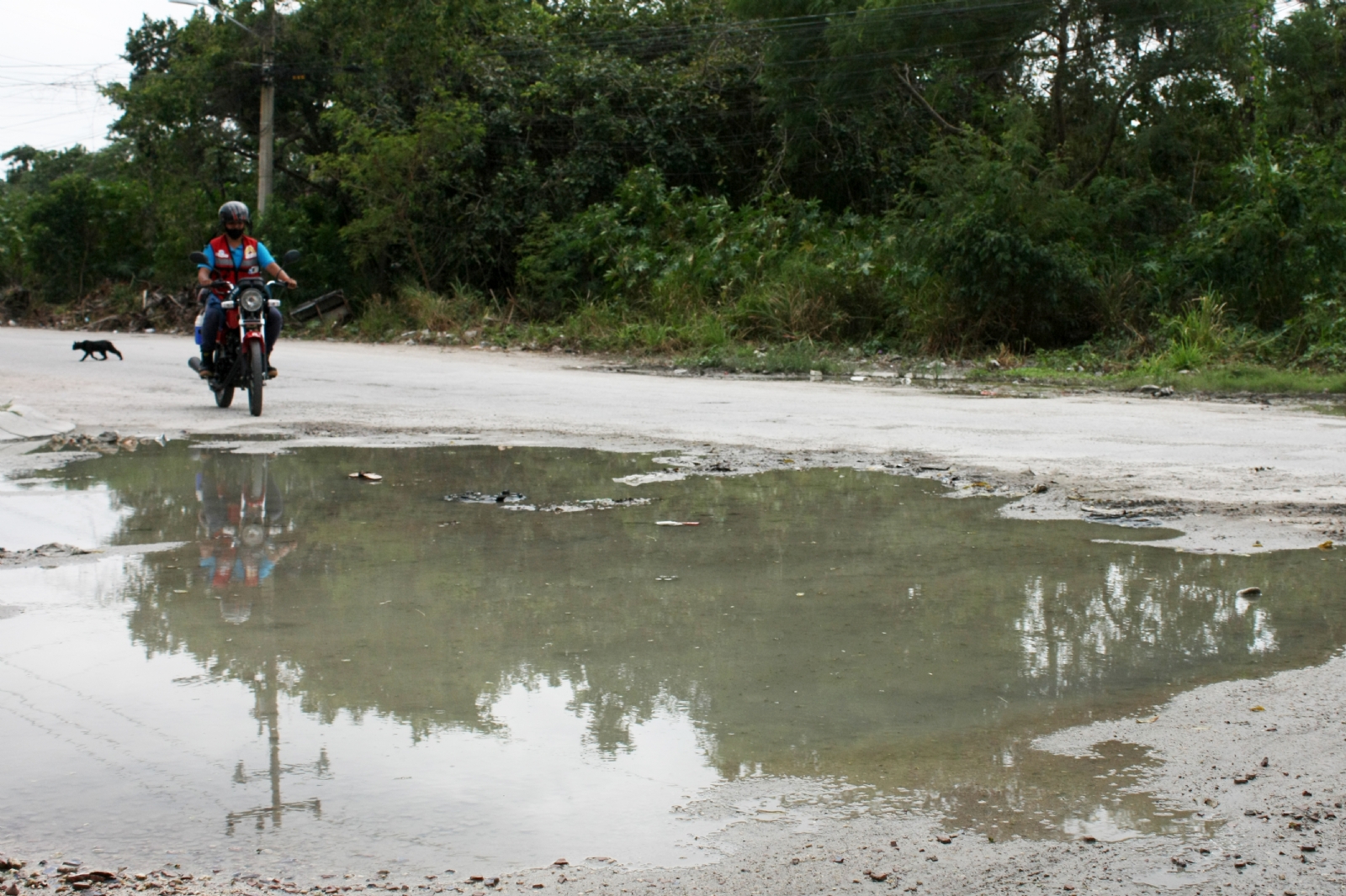 Los habitantes ya no soportan el hedor de estas aguas residuales
