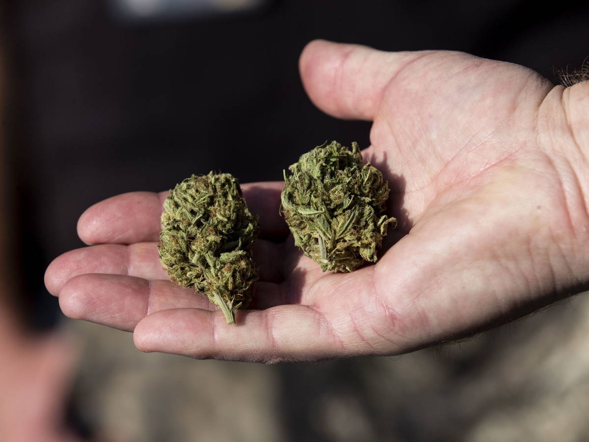 Estudiantes de una escuela primaria del Estado de México resultan intoxicados con cannabis