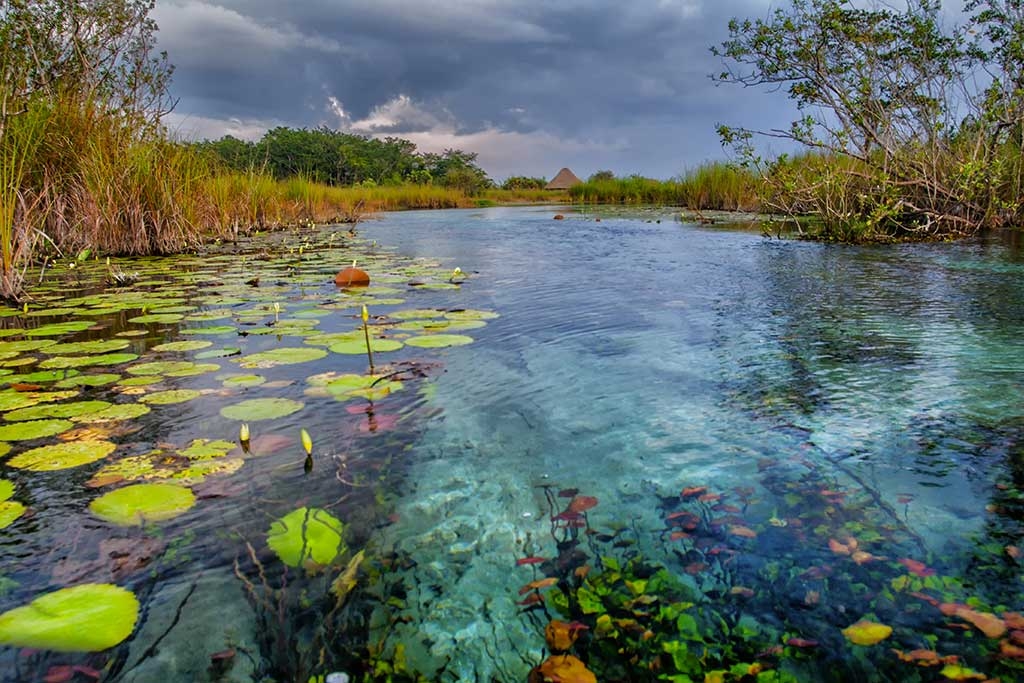 Estos cuerpos de agua son muy reconocidos por sus aguas cristalinas Estos cuerpos de agua son muy reconocidos por sus aguas cristalinas