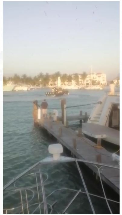 El hecho fue captado por pescadores que se encontraban en la marina de Chelem Puerto