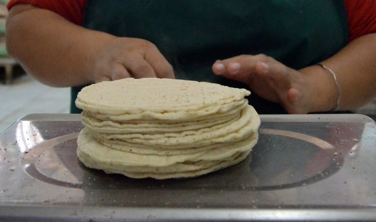 Alza en el precio de la tortilla causa que disminuya su compra en campeche