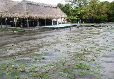 La Laguna de Bacalar aún no recupera sus siete colores