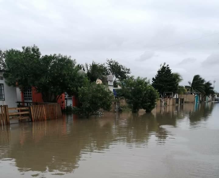 Las zonas en peores condiciones son: Encinos, Jardines de San Pedro y Villas de Oriente