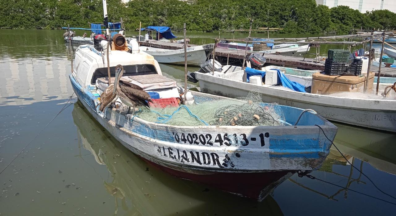 En Lerma se produce hasta tonelada y media de robalo, boquinete y otras especies marinas por viaje a la semana En Lerma se produce hasta tonelada y media de robalo, boquinete y otras especies marinas por viaje a la semana