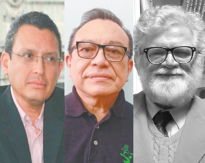 En el año 2012, se planteó la creación de la Medalla Mireya Priego López, otorgada cada dos años a la trayectoria profesional En el año 2012, se planteó la creación de la Medalla Mireya Priego López, otorgada cada dos años a la trayectoria profesional