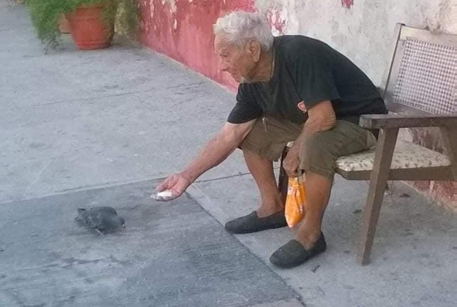 El ataque del pasado viernes al adulto mayor tuvo consecuencias graves