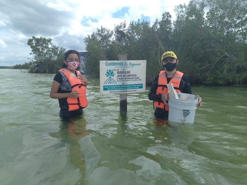 Las alumnas buscan rescatar el mangle y el carrizo Las alumnas buscan rescatar el mangle y el carrizo