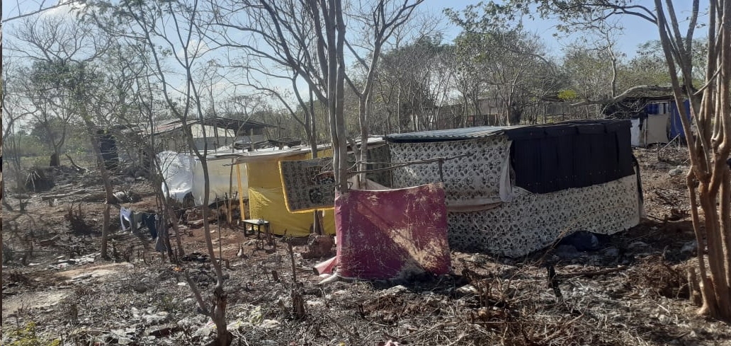 Los invasores de los espacios ubicados en el Sur de Mérida, por lo general, son madres solteras, matrimonios jóvenes y personas provenientes de otros Estados Los invasores de los espacios ubicados en el Sur de Mérida, por lo general, son madres solteras, matrimonios jóvenes y personas provenientes de otros Estados