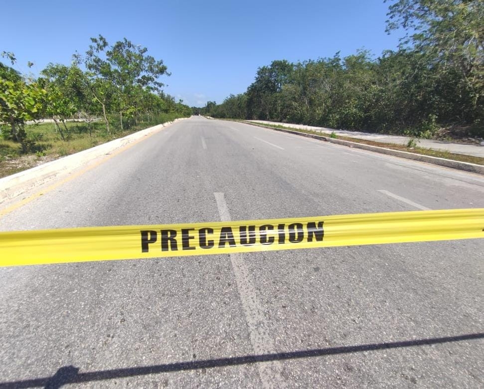 Las autoridades comenzaron las investigaciones