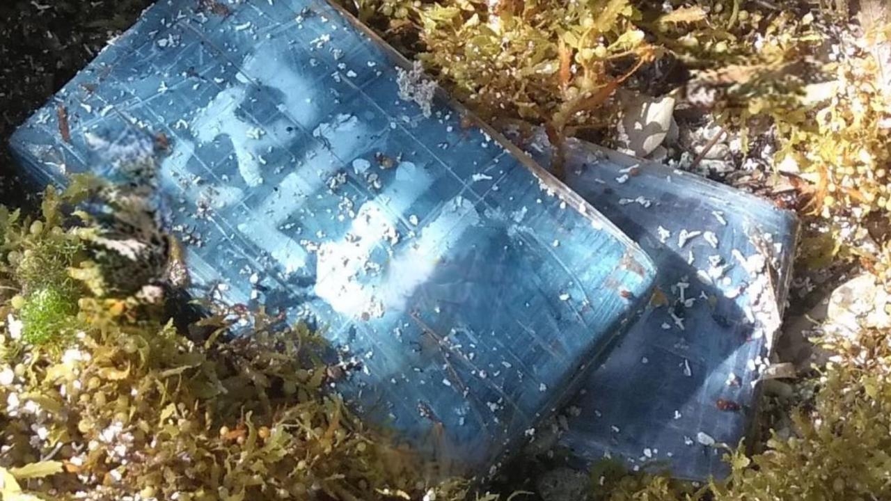 la droga fue encontrada en la zona costera por recolectores de sargazo la droga fue encontrada en la zona costera por recolectores de sargazo