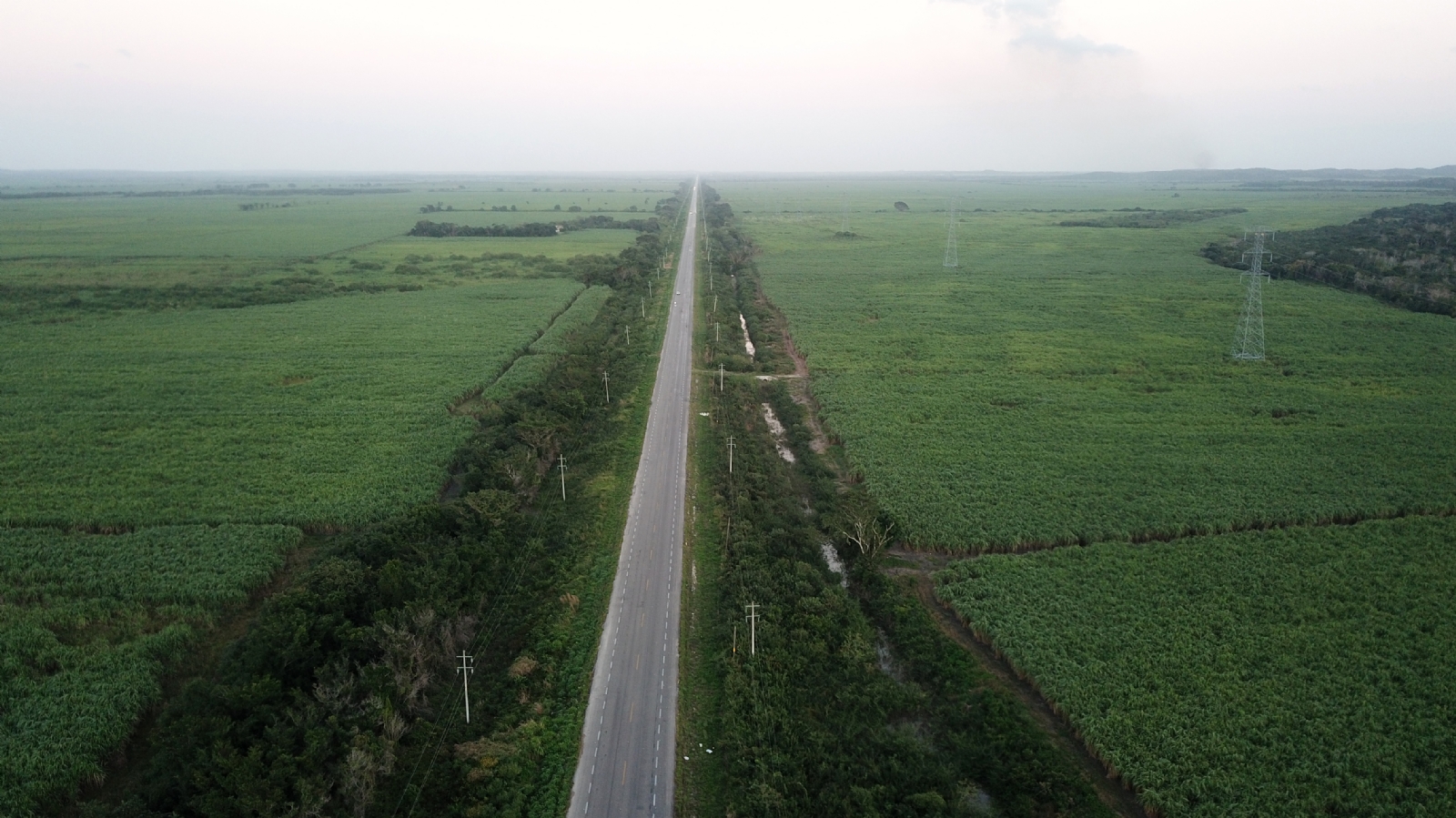 La construcción de las vías de los tramos 6 y 7 del Tren Maya en Quintana Roo estarán a cargo de la Sedena