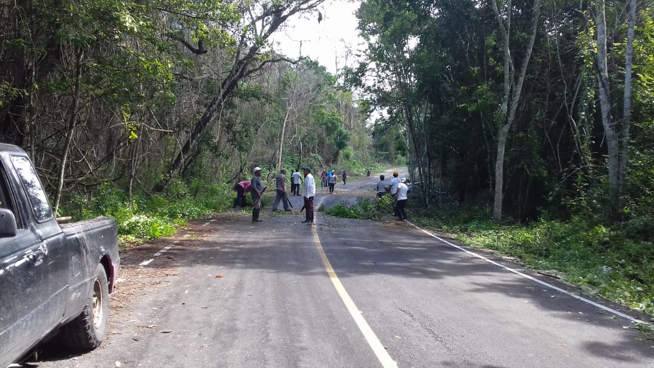 Los mismos ciudadanos se han dado a la tarea de limpiar los tramos de la carretera cubiertos por la maleza