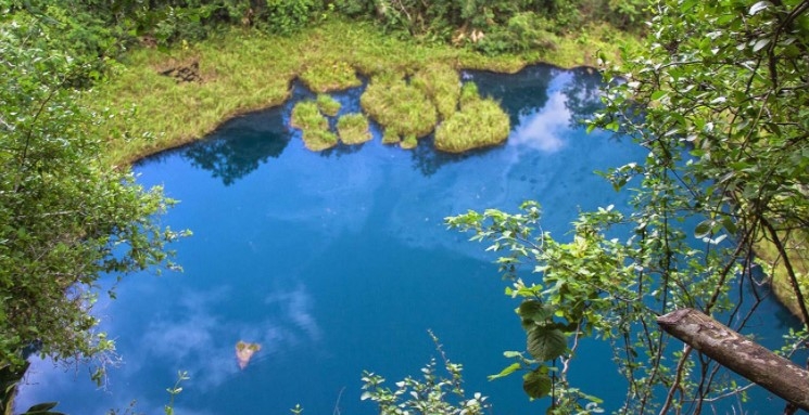 Cenote del Cocodrilo Dorado, un lugar oculto en Quintana Roo