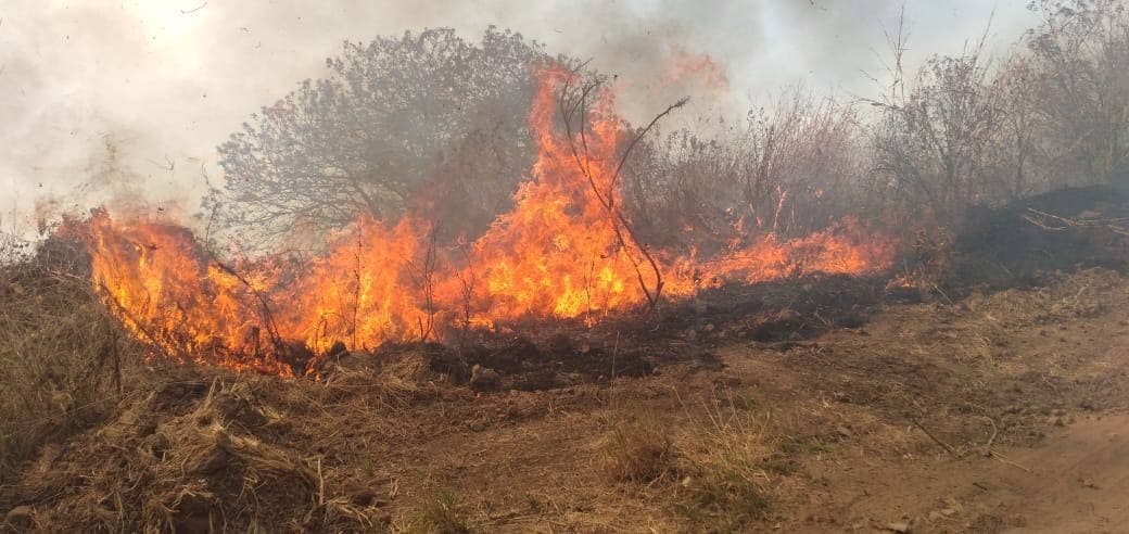 Ya son 76 elementos de Semadet que se encuentran en el lugar Ya son 76 elementos de Semadet que se encuentran en el lugar