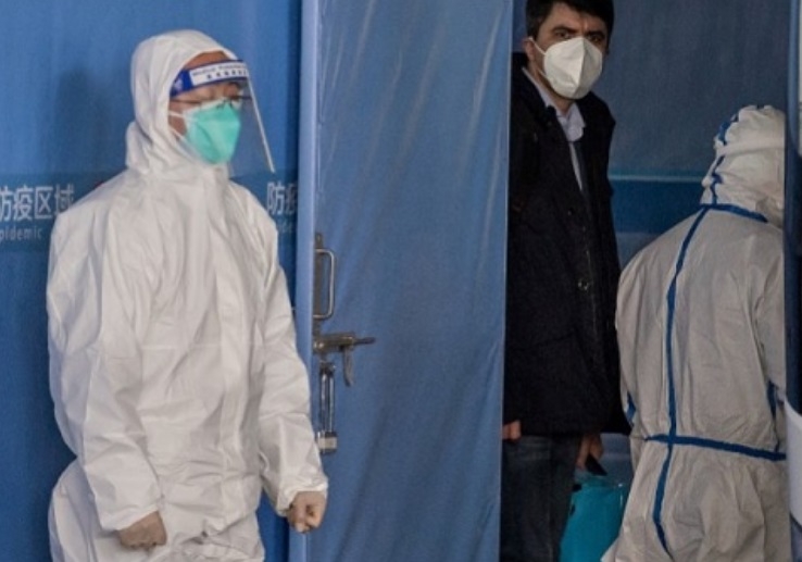 Los investigadores de la OMS concluyeron que el COVID proviene de animales